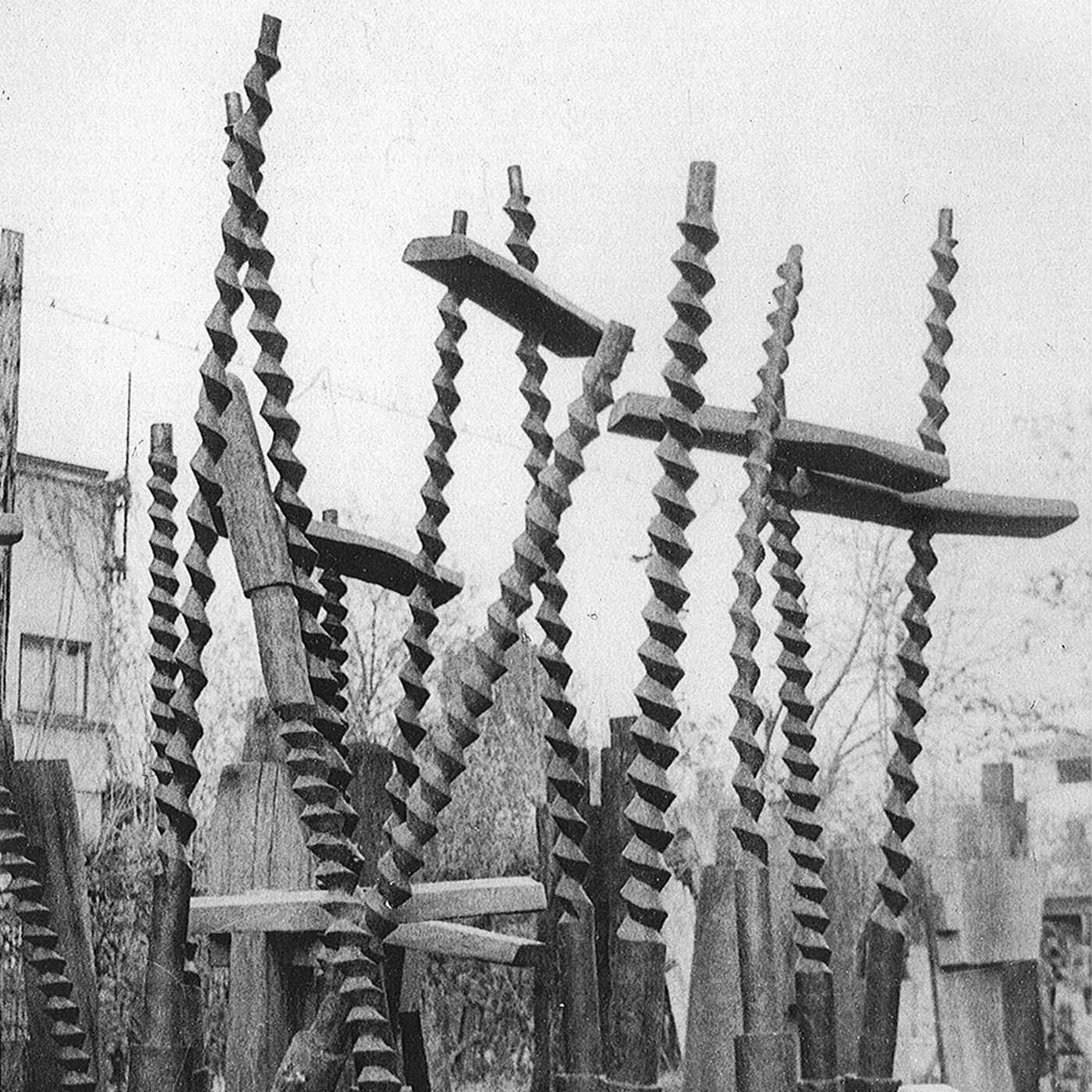 Sculpturi în lemn din ciclul Fluturi, în grădina din strada Marinarilor, 1969