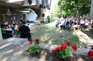 Rezidenta Albastru (79)